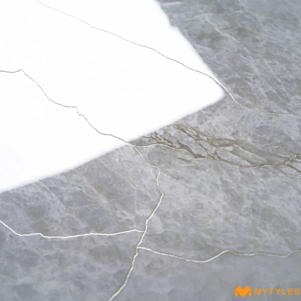 40631 image 10
