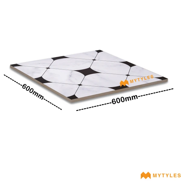 40241 image 4