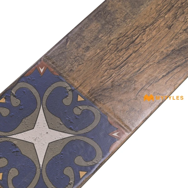 18608 image 19