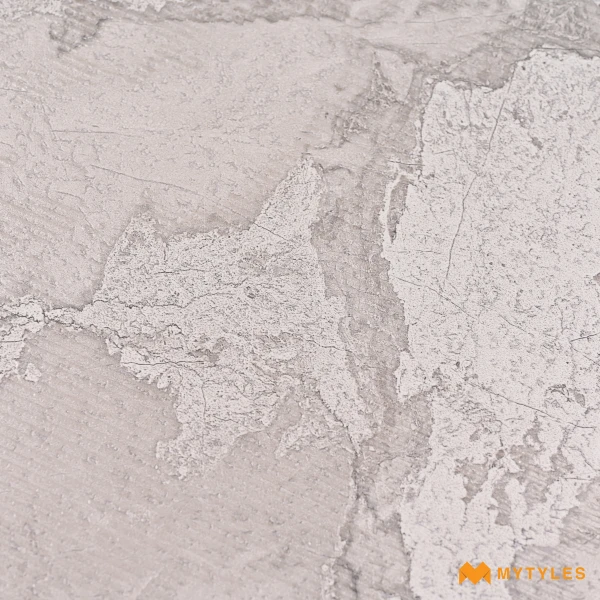 38899 image 10