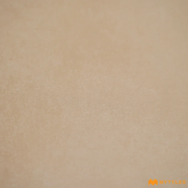 38481 image 9