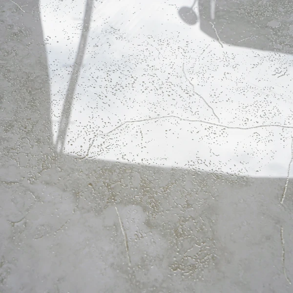 40629 image 11