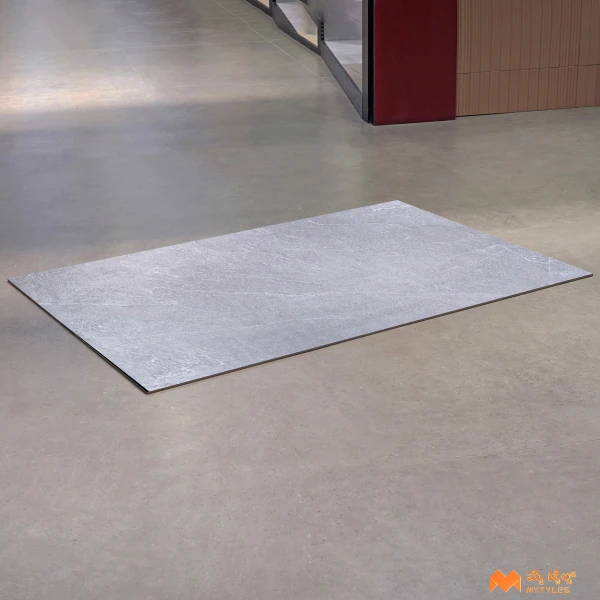 37308 image 9