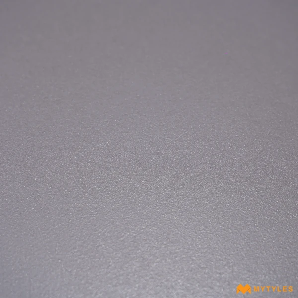 38113 image 7