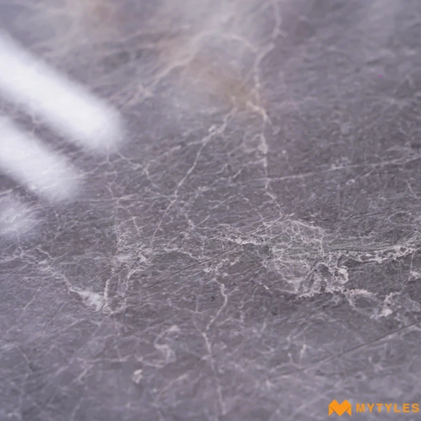 40172 image 10