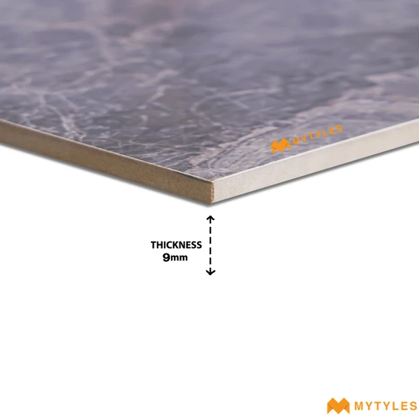 40172 image 5