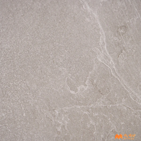 37309 image 10