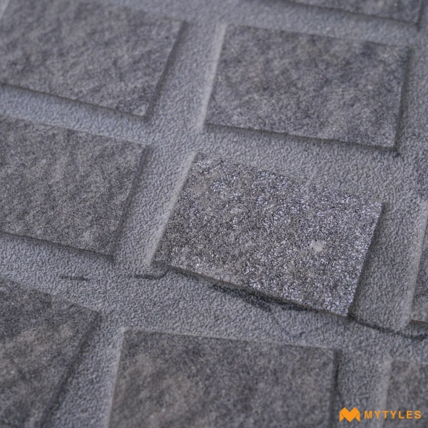 39011 image 8