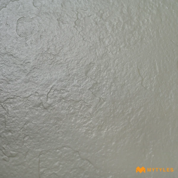 37216 image 8