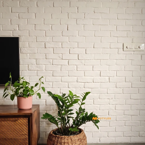 13230 image 8