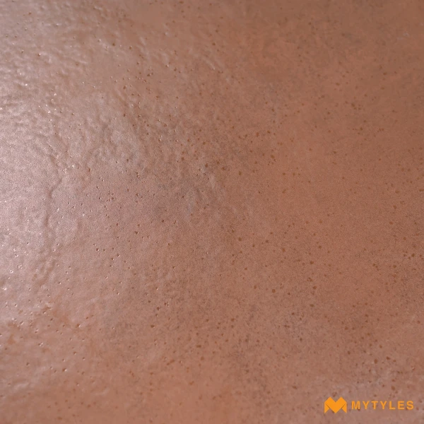 38828 image 9