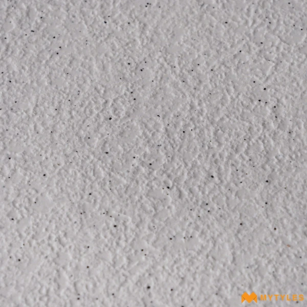 39529 image 10