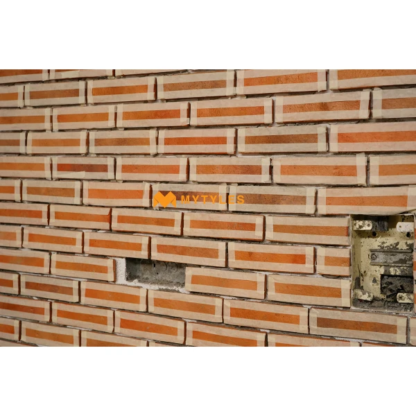 13232 image 21