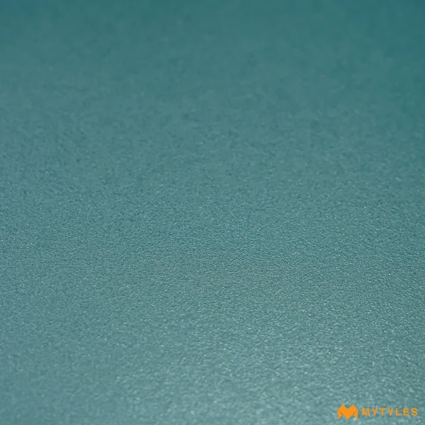 38123 image 7