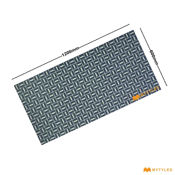 41071 image 4