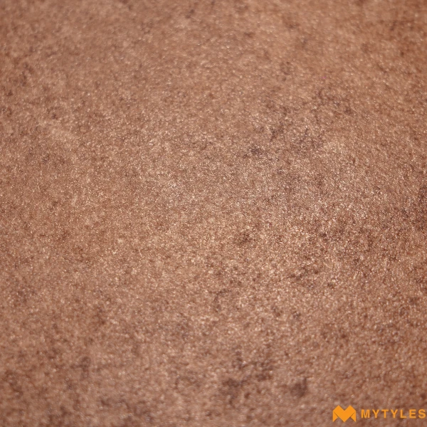 38382 image 23