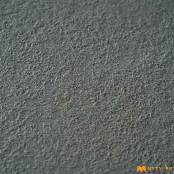 39528 image 8