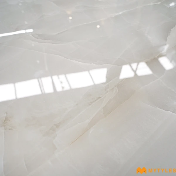 40231 image 15