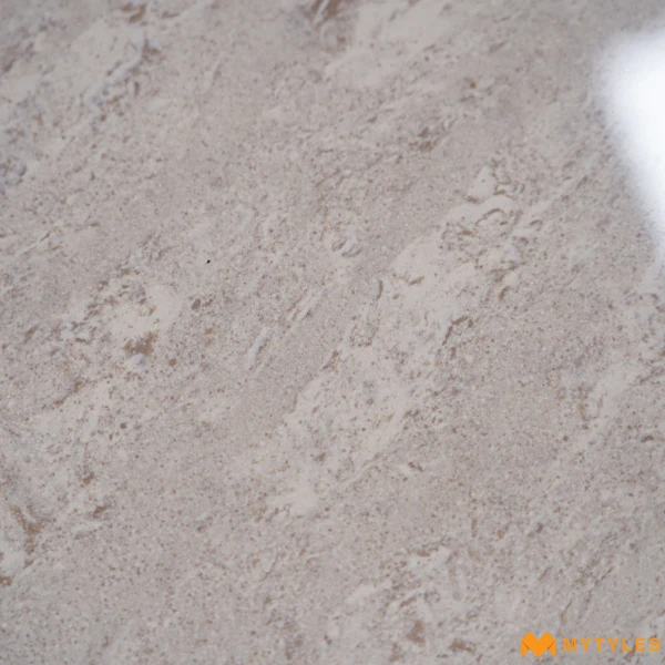 38877 image 10