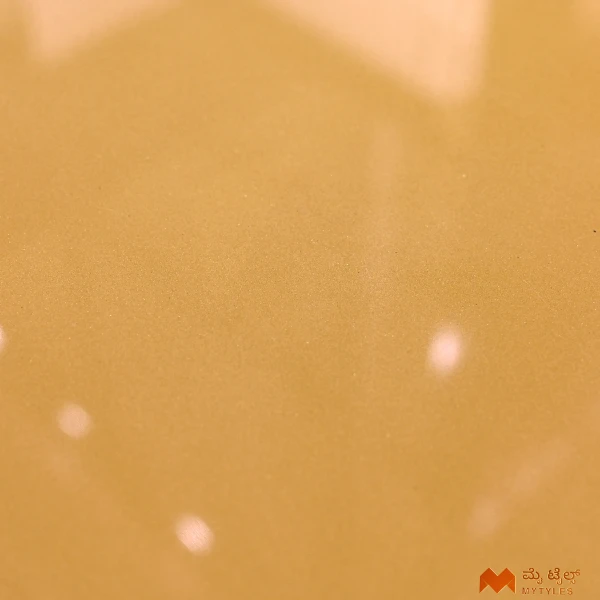37231 image 7