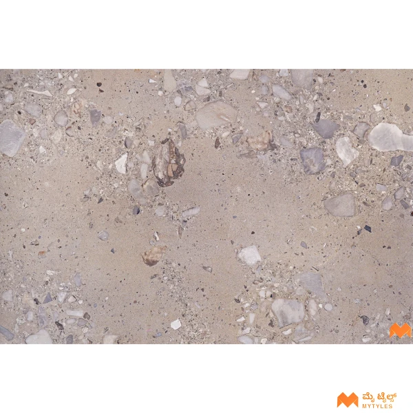 37312 image 8