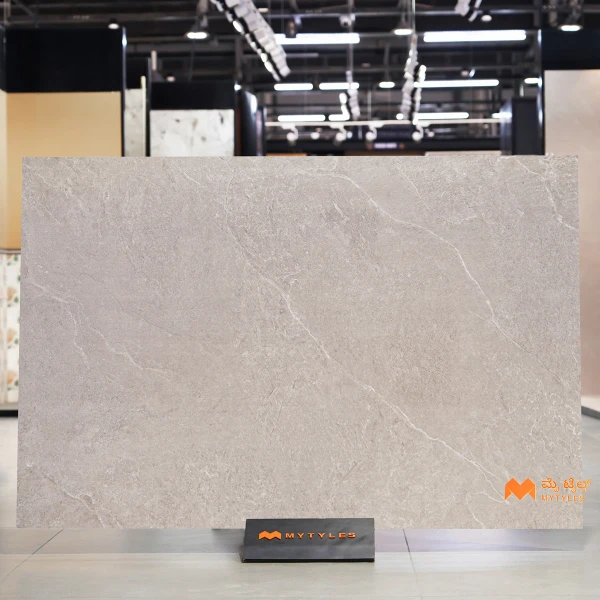 37309 image 3