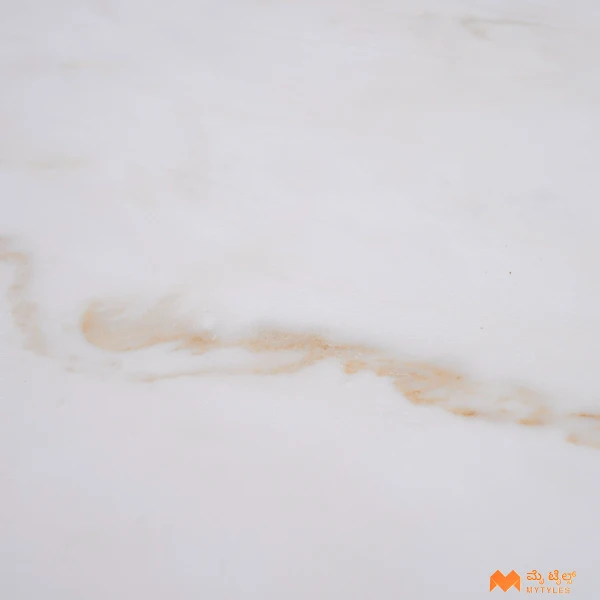 37203 image 10