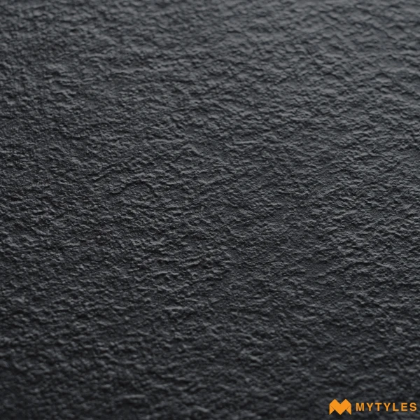 39527 image 10