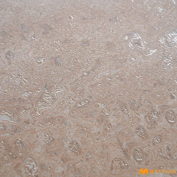 40147 image 12