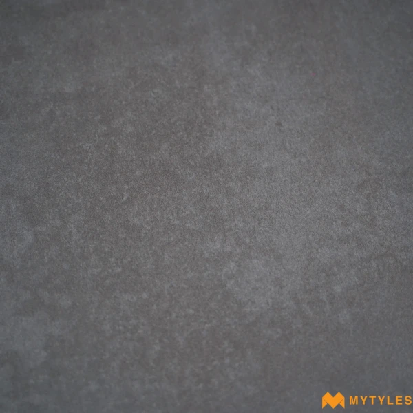 38931 image 10