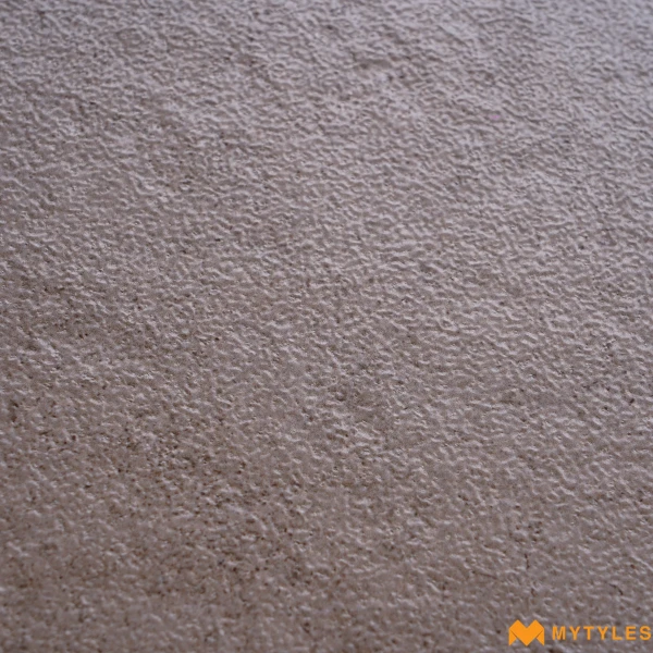 40461 image 13