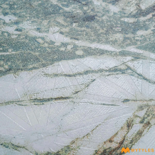 38910 image 9