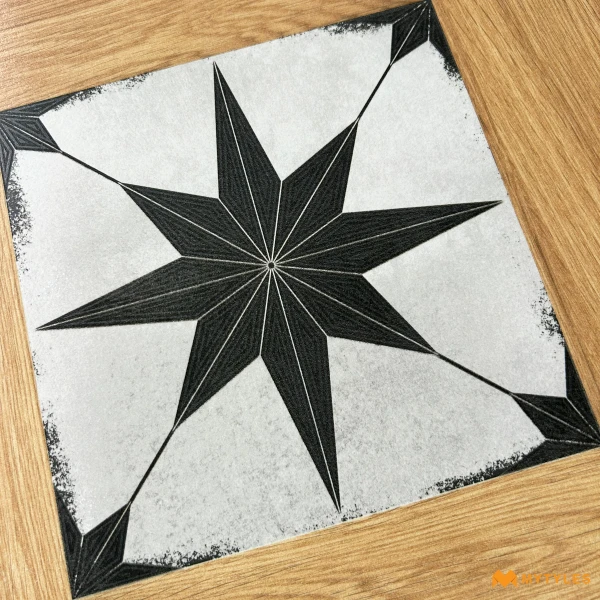 41051 image 11