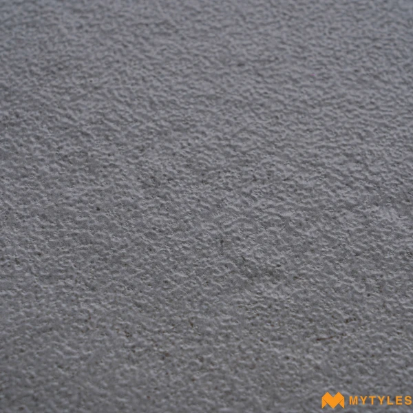 40460 image 13