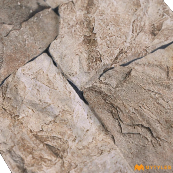 1671 image 7