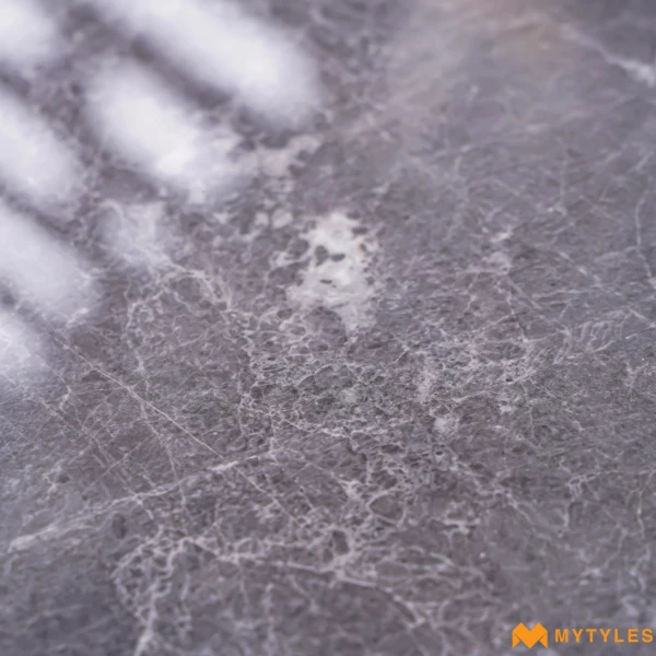 40172 image 11