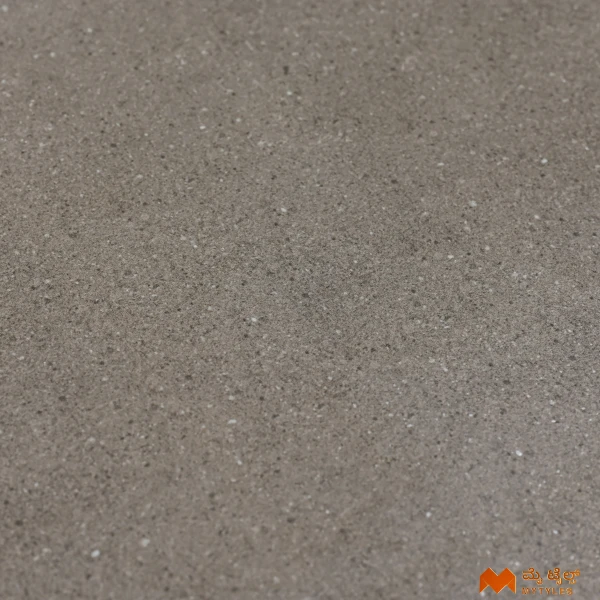 36790 image 7