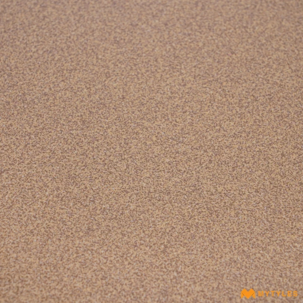 37258 image 8
