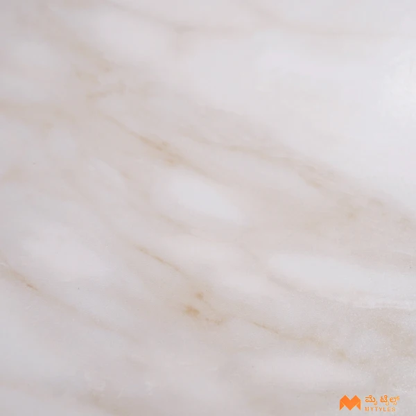 34112 image 7
