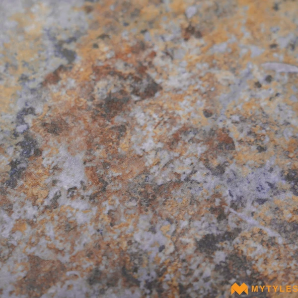 40667 image 15