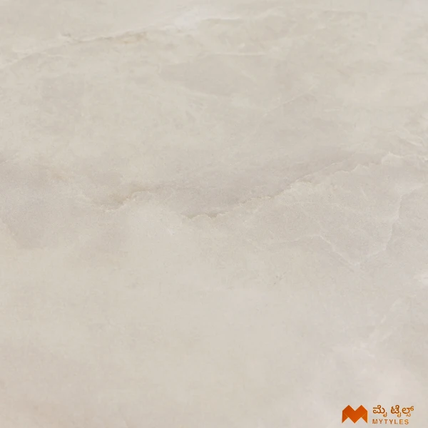 37448 image 7