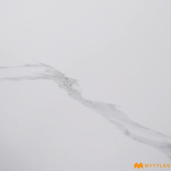40283 image 17