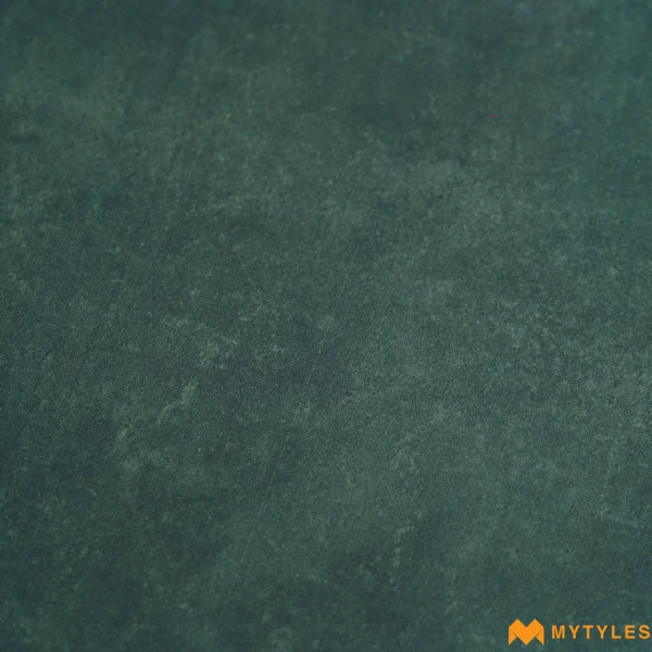 38929 image 12
