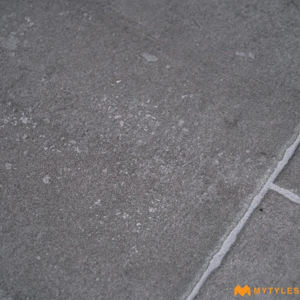 40124 image 11