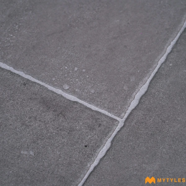 40124 image 12
