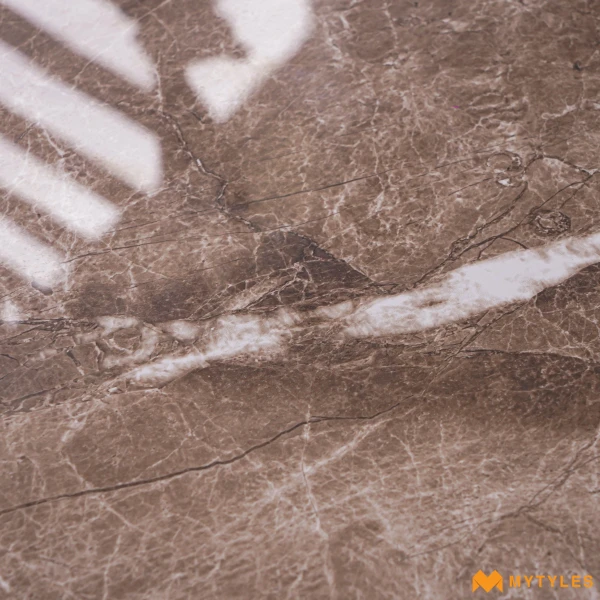 40171 image 10