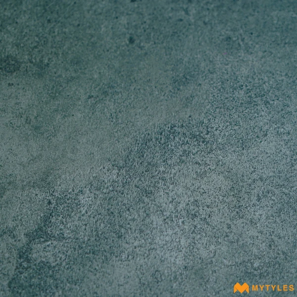 33677 image 10