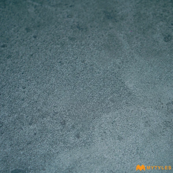 33677 image 9