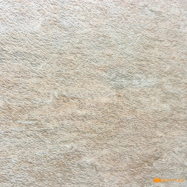 41060 image 11