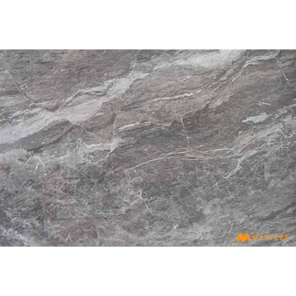 37328 image 6